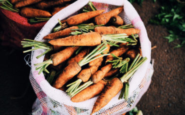 garden carrots
