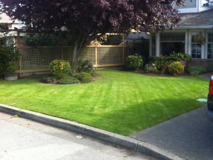 residential lawn mowing