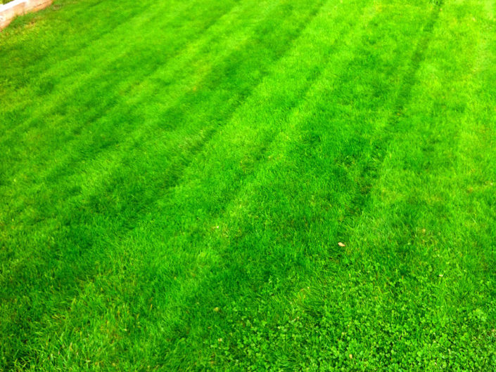 residential lawn mowing